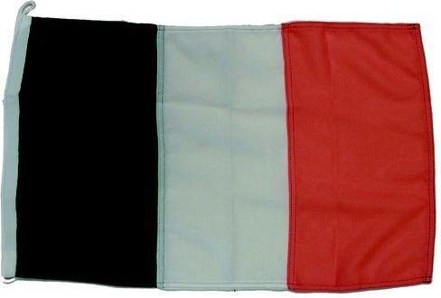 BANDERA IRLANDA  30X45