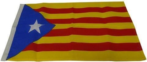 BANDERA ESTELADA AZUL  30X45