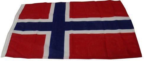 BANDERA NORUEGA 20X30