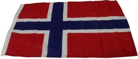 BANDERA NORUEGA 30X45