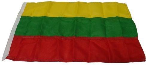 BANDERA LITUNIA  20X30