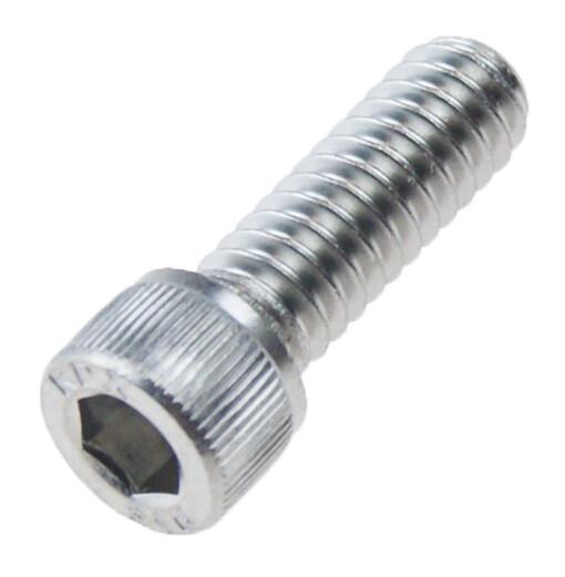 SC SOC CAP 1/4-20X3/4L 316SS